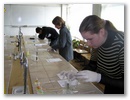f_olimp2008__248.jpg